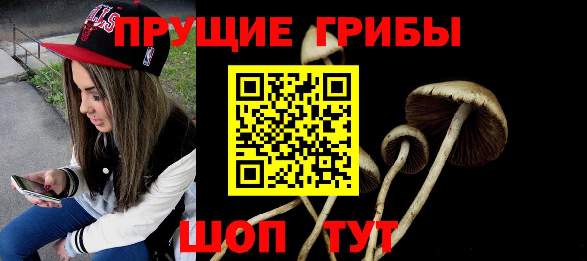 Псилоцибиновые грибы Psilocybe Новый Уренгой
